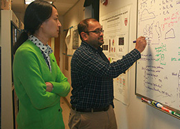 harvard medical school research faculty